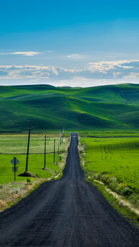Green fields
