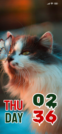 Cute Cat