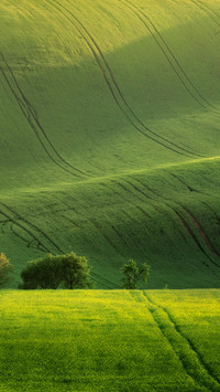 Green Hills of the Czech Moravia