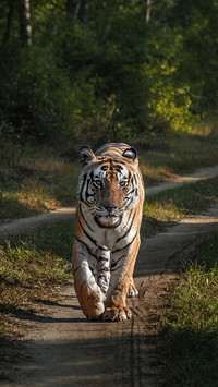 What is the unique charm of people born in the year of