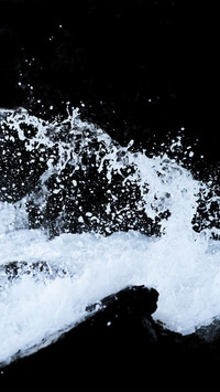 sea
