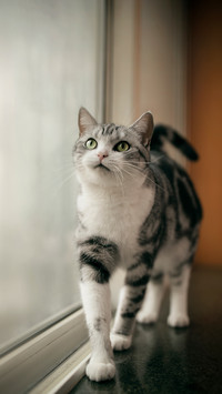 Innocent little eyes
