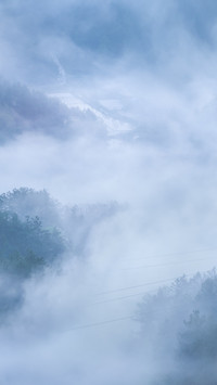 Mountain mist hazily enters the painting