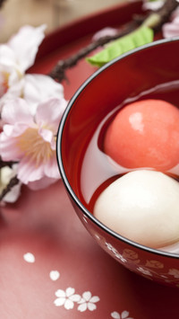 鲜花与美食