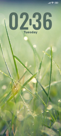 Misty Showers
