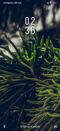 Woods - Gunpoint_3MDS