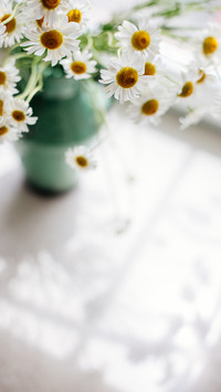 Spring flower arrangement