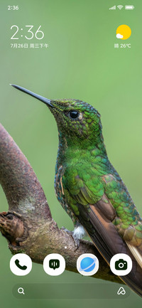 Tiny Hummer
