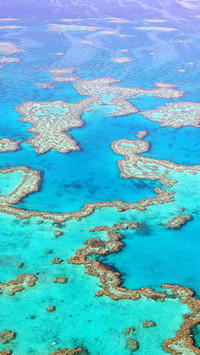 The seawater at different depths of the great barrier