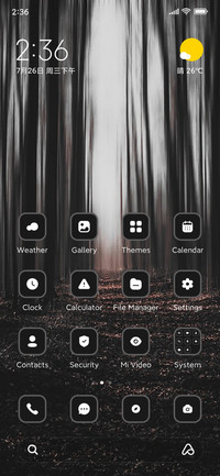 Dark Forest