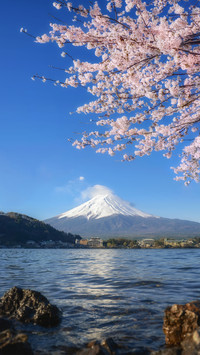 云雾缭绕的富士山