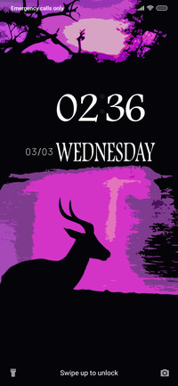 Deer_Tom