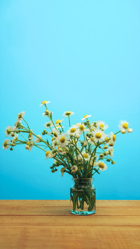 人生亦可《一路生花》