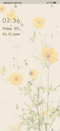 Daisy