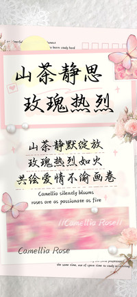 山茶静思玫瑰热烈