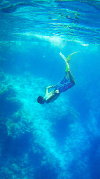 Free dive-03