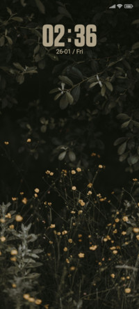 Shift Lens