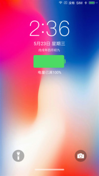 iPhone X