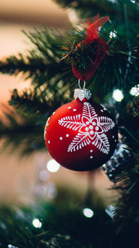 Christmas (15)