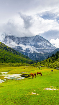 秘境川西，瑰丽山河