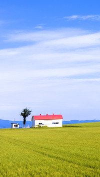 Rural landscape in memanbetsu