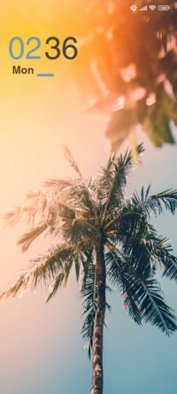 Sun Light