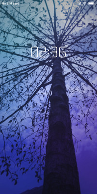 looking up_DWM2