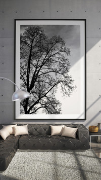 The gray decoration is too advanced