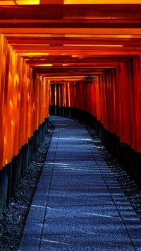 鸟居步道