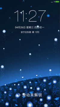 太阳花