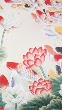 莲花有品