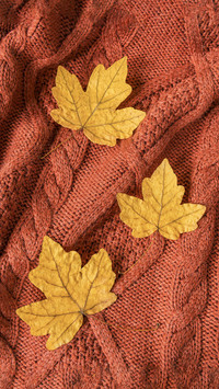 Three Yellow Maple Leaves Lie on an Orange Sweater