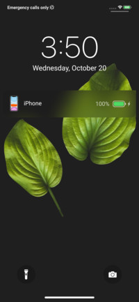 iOS 14 Beta