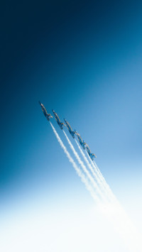Aerial Predators (2)