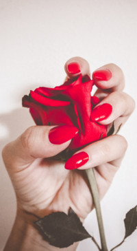 Red Roses (21)