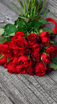 Red Roses (5)