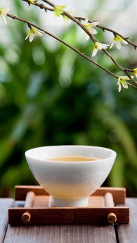 春雨煎茶