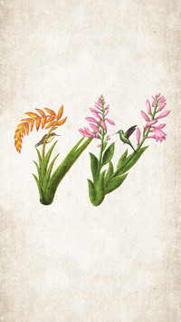 Bsen 插画作品