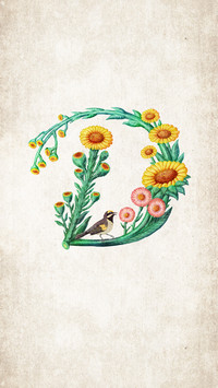Bsen插画作品