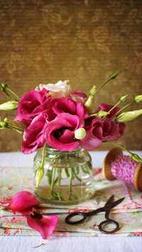 Flowers that Lazy People Must Grow 1