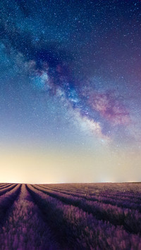 Under the milky way starry sky