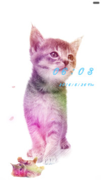 猫咪彩虹