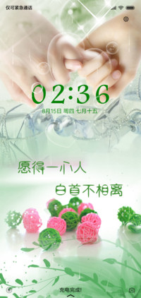 愿得一心人