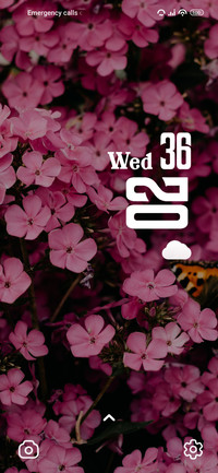 Pink Flowers