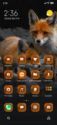 Wildlife_Fox