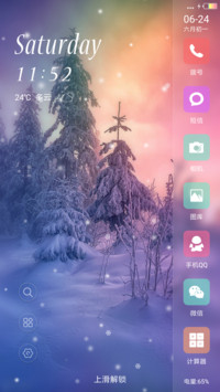 缤纷雪彩