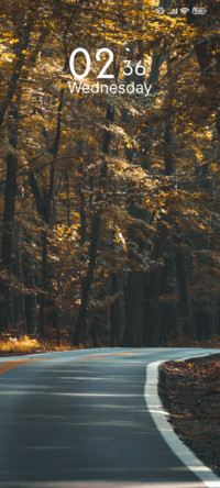 Forest Drive