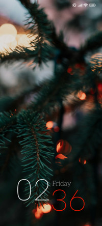 Lit Pines