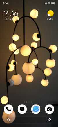 Light Fixture ?