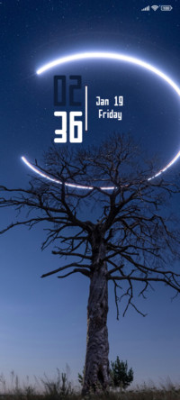 Dry Tree